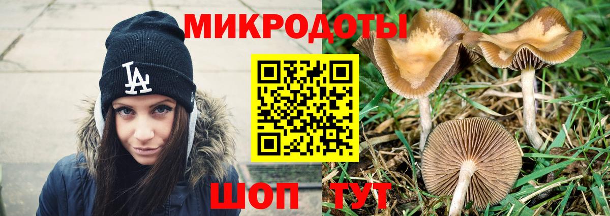Галлюциногенные грибы прущие грибы Дмитров