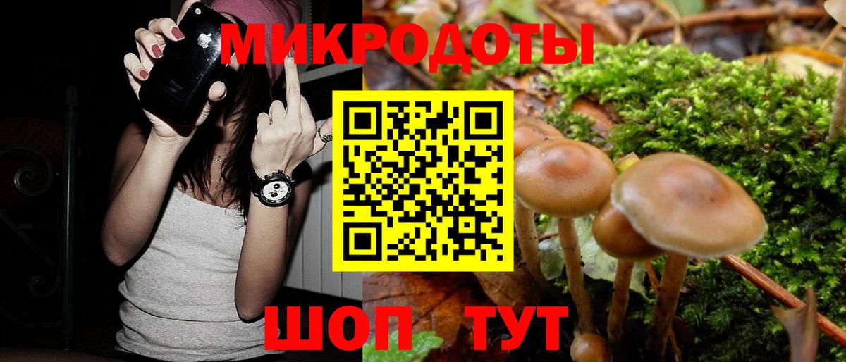 Псилоцибиновые грибы мицелий  Вход с VPN  Дмитров 