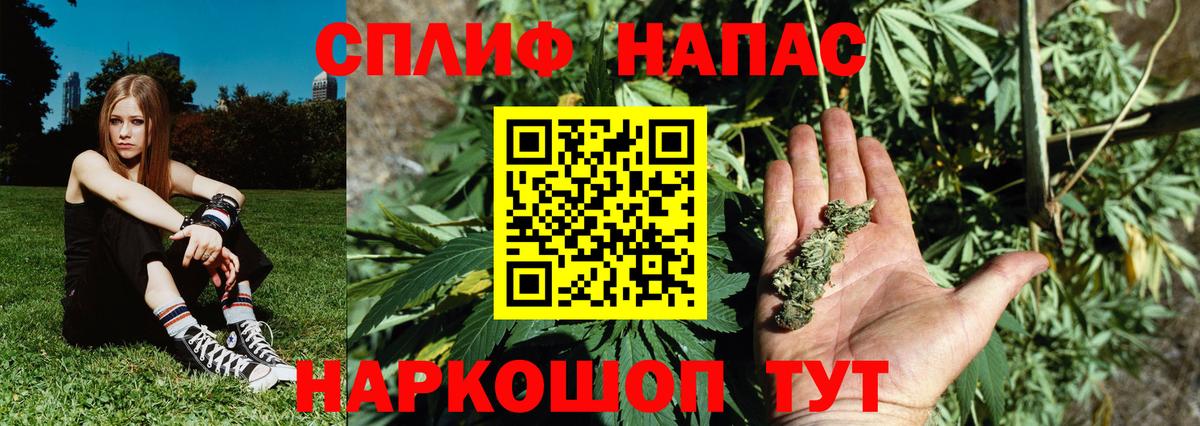 Конопля Amnesia Дмитров